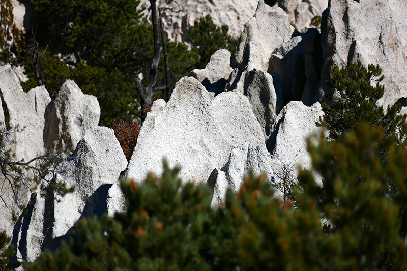 Pine Park [Dixie National Forest]