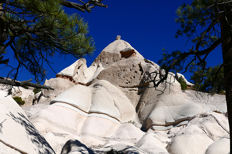 Pine Park [Dixie National Forest], Utah