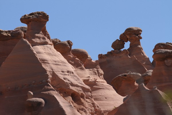 Pinedale Hoodoos [Fallen Timber Ridge]