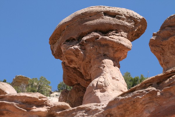 Pinedale Hoodoos [Fallen Timber Ridge]