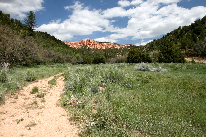 USA Hiking Database: Bilder Pink Cliffs [Dixie National Forest] - Pictures Pink Cliffs [Dixie National Forest]