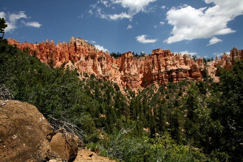 USA Hiking Database: Bilder Pink Cliffs [Dixie National Forest] - Pictures Pink Cliffs [Dixie National Forest]