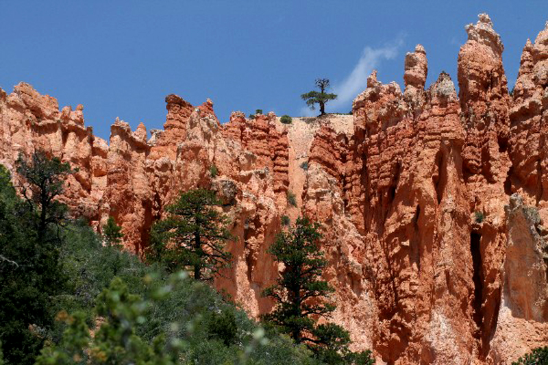 USA Hiking Database: Bilder Pink Cliffs [Dixie National Forest] - Images Pink Cliffs [Dixie National Forest]