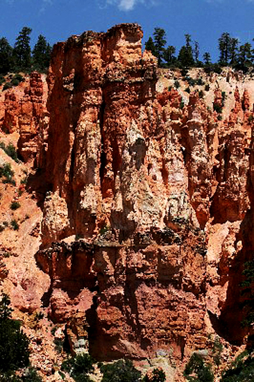 USA Hiking Database: Bilder Pink Cliffs [Dixie National Forest] - Pictures Pink Cliffs [Dixie National Forest]