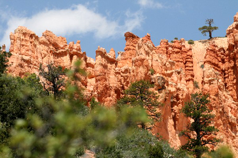 USA Hiking Database: Bilder Pink Cliffs [Dixie National Forest] - Pictures Pink Cliffs [Dixie National Forest]