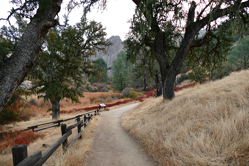 Pinnacles National Park