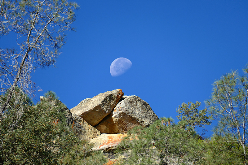 Pinnacles National Park