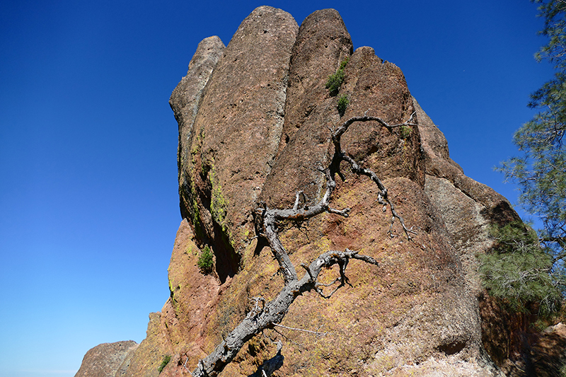 Pinnacles National Park