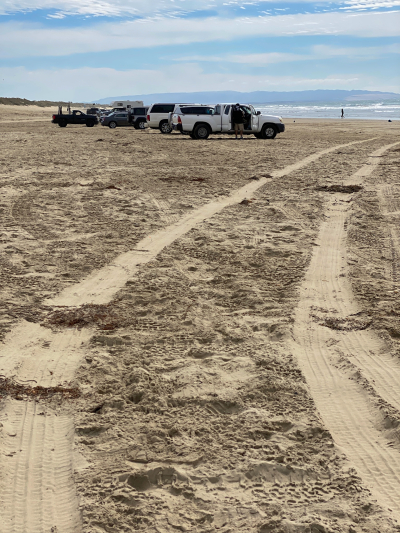 Coastal Access Trail [Pismo Beach]