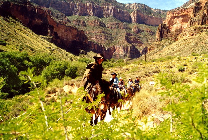 Grand Canyon National Park - Plateau Point