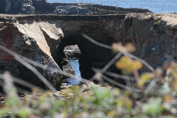 Arches at Point Arena