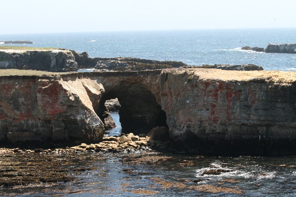 Arches at Point Arena