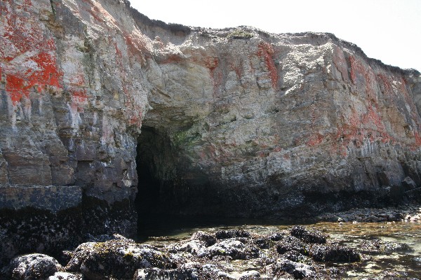 Arches at Point Arena