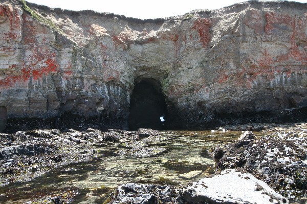 Arches at Point Arena