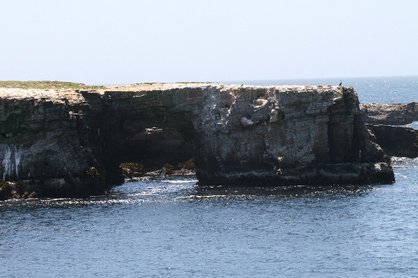 Arches at Point Arena