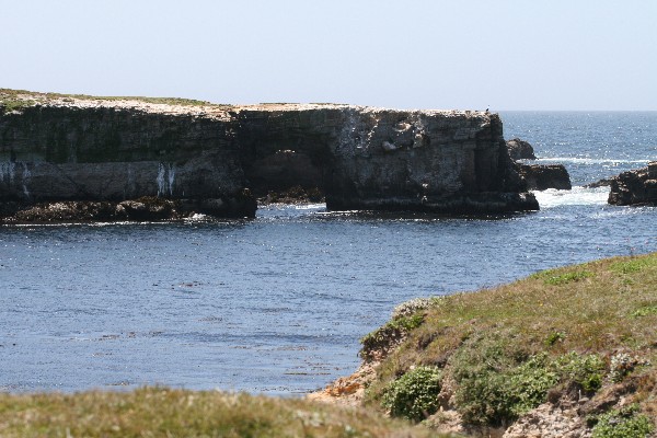 Arches at Point Arena