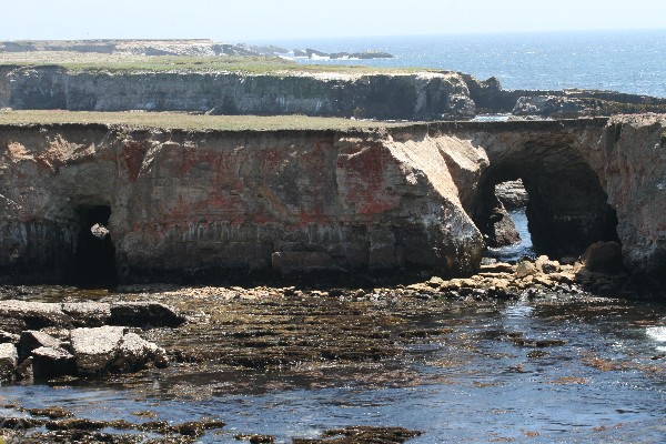 Arches at Point Arena