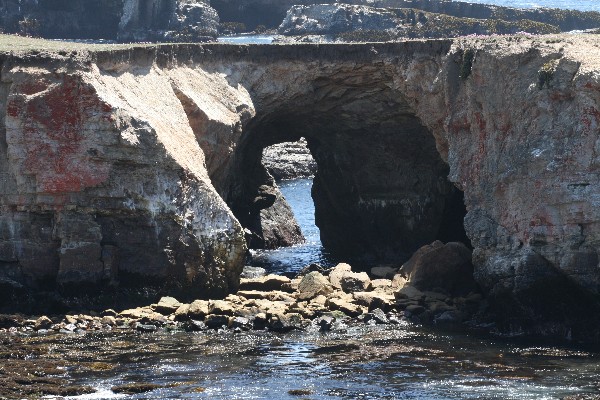 Arches at Point Arena