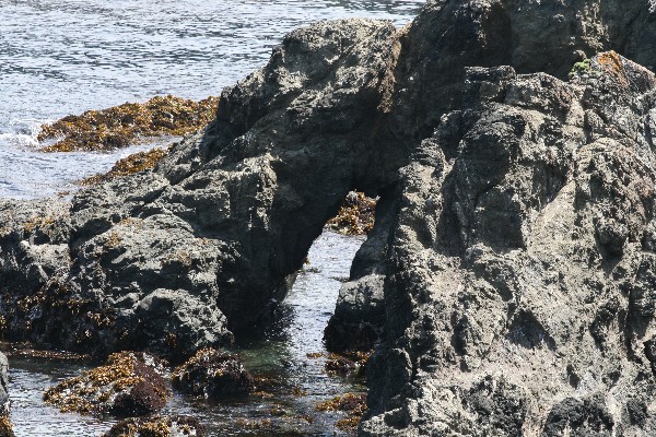 Arches at Point Cabrillo