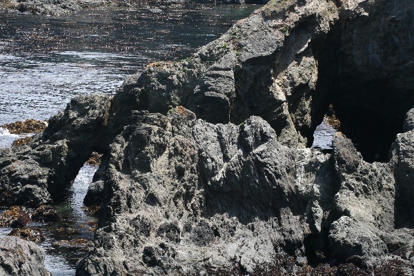 Arches at Point Cabrillo