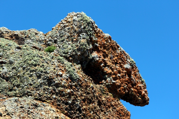 Point Lobos State Reserve