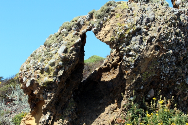 Point Lobos State Reserve