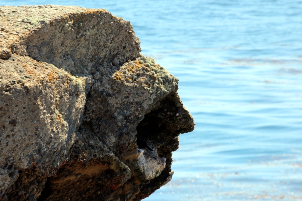 Point Lobos State Reserve