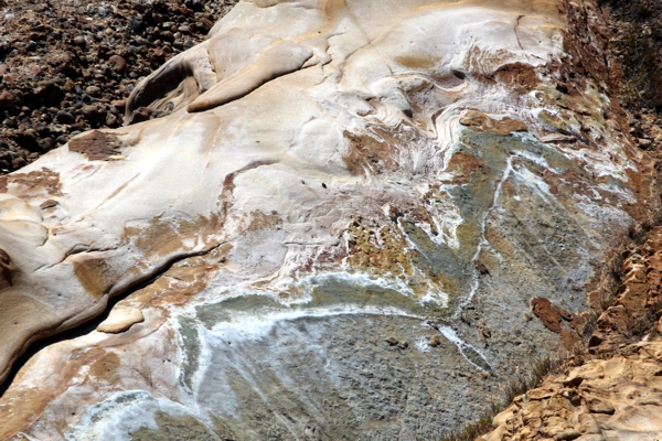 Point Lobos State Reserve