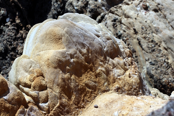 Point Lobos State Reserve