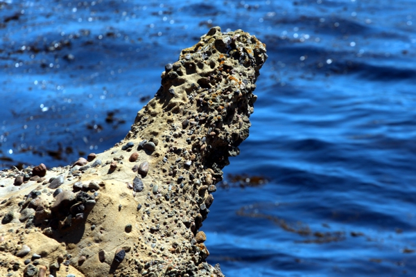 Point Lobos State Reserve