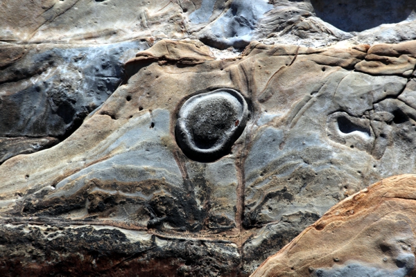 Point Lobos State Reserve