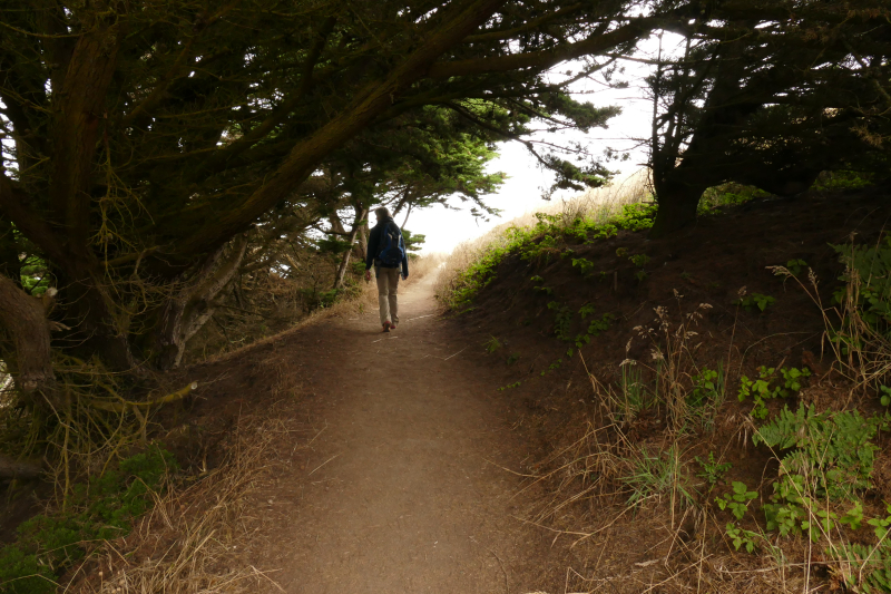 Bilder von der Wanderung Chimney Rock [Point Reyes National Seashore] - Pictures of the Hike Chimney Rock [Point Reyes National Seashore]