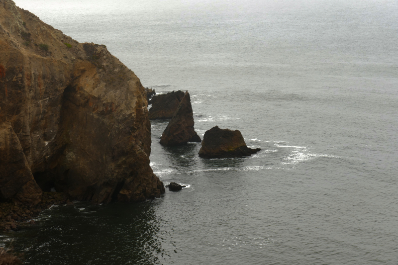 Chimney Rock und Elephant Seal Overlook [Point Reyes National Seashore]