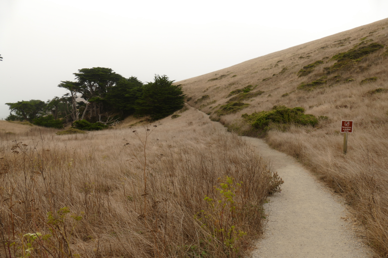 Bild vom Trail zum Chimney Rock - Point Reyes