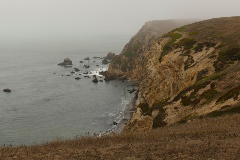 Bilder von der Wanderung Chimney Rock [Point Reyes National Seashore] - Pictures of the Hike Chimney Rock [Point Reyes National Seashore]