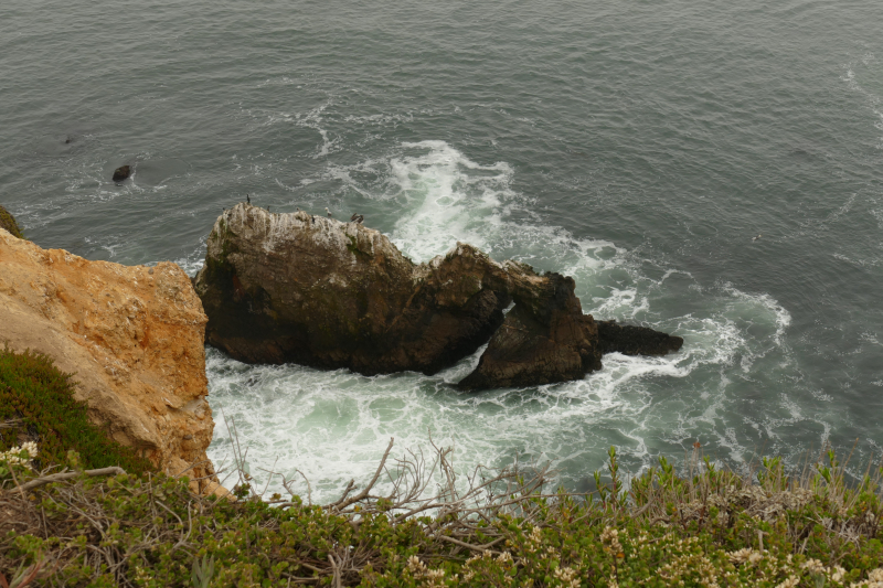 Bilder von der Wanderung Chimney Rock [Point Reyes National Seashore] - Pictures of the Hike Chimney Rock [Point Reyes National Seashore]