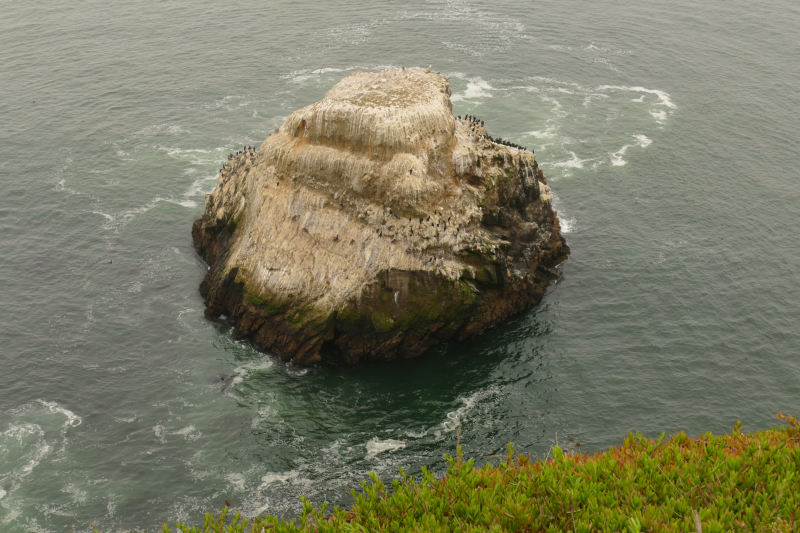Chimney Rock und Elephant Seal Overlook [Point Reyes National Seashore]