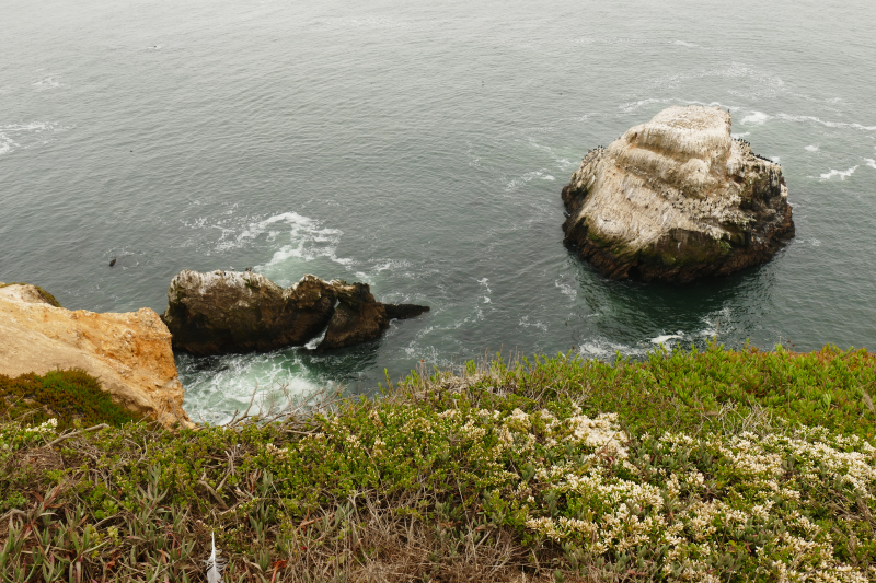 Bilder von der Wanderung Chimney Rock [Point Reyes National Seashore] - Pictures of the Hike Chimney Rock [Point Reyes National Seashore]