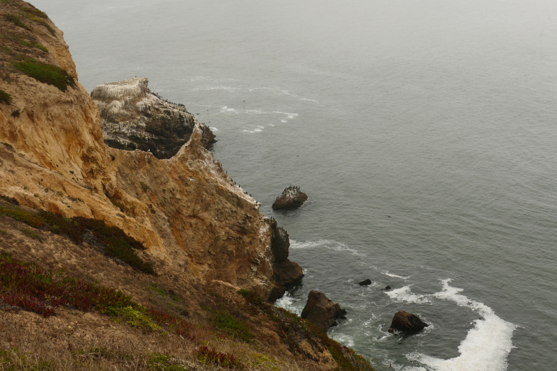 Bilder von der Wanderung Chimney Rock [Point Reyes National Seashore] - Pictures of the Hike Chimney Rock [Point Reyes National Seashore]