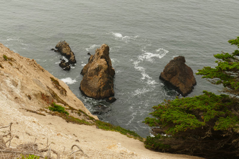 Bilder von der Wanderung Elephant Rock [Point Reyes National Seashore] - Pictures of the Hike Elephant Rock [Point Reyes National Seashore]