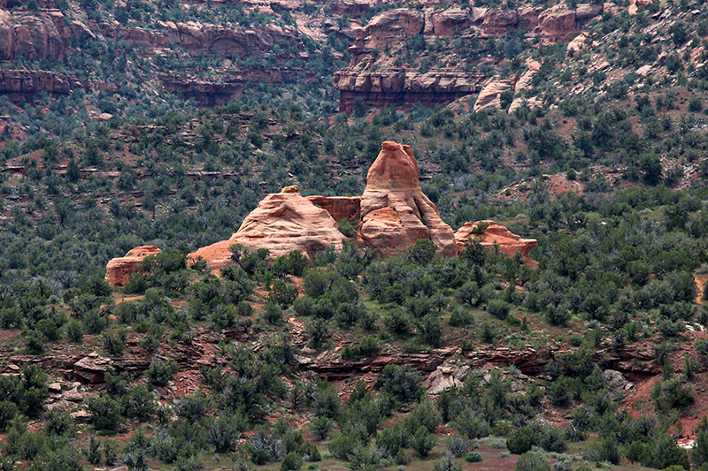 Pollock Canyon