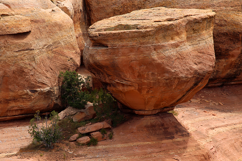 Pollock Canyon