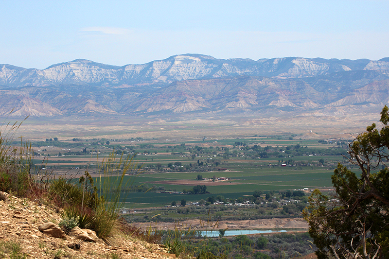 Pollock Canyon