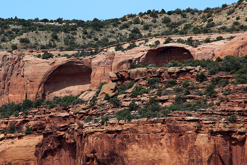 Pollock Canyon