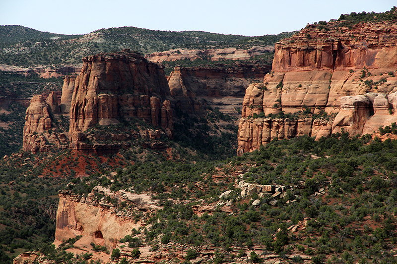 Pollock Canyon