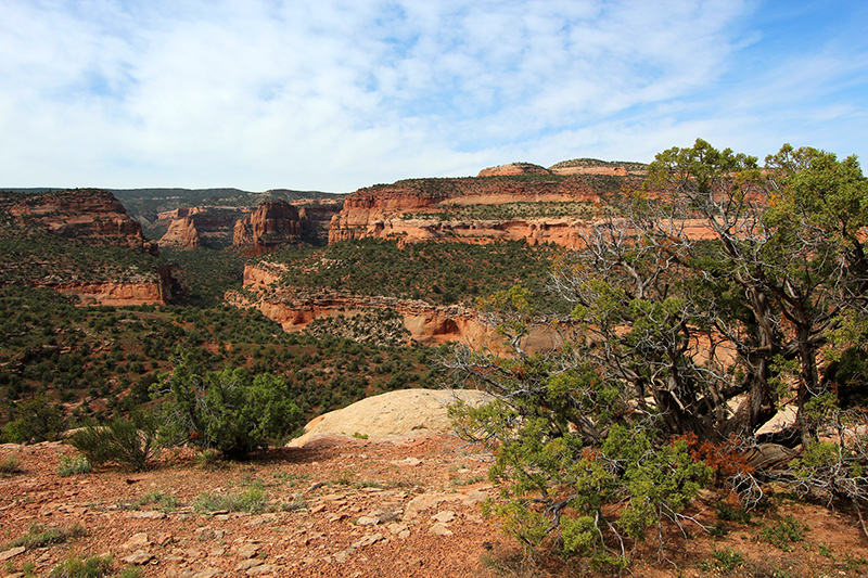 Pollock Canyon