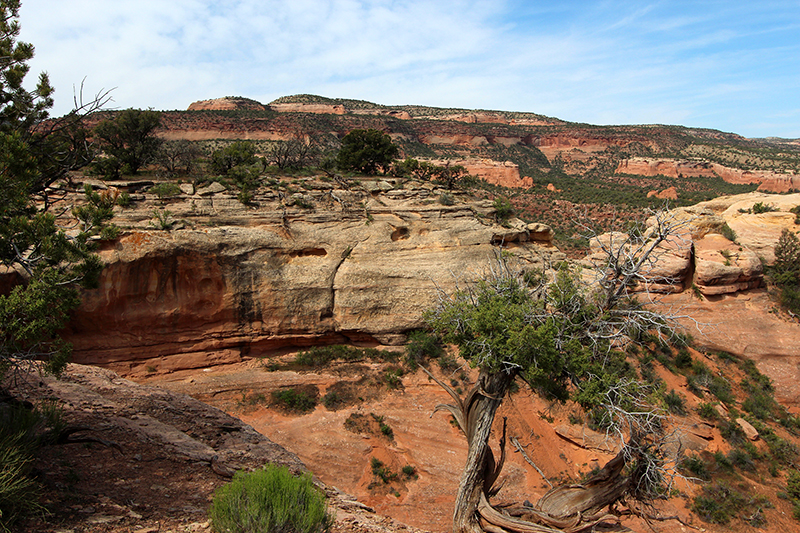 Pollock Canyon