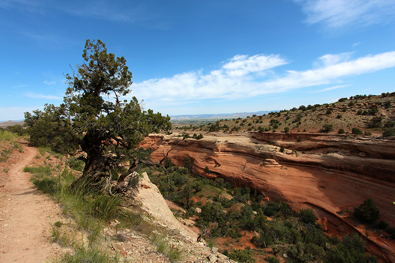 Pollock Canyon