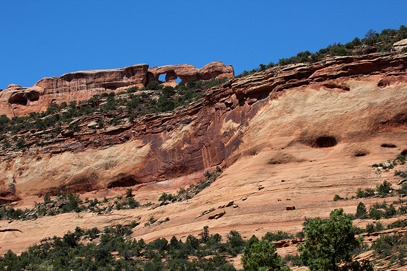 The Windows of Pollock Canyon