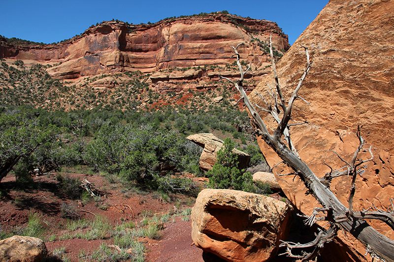 Pollock Canyon